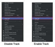 SW-Disable-Enable-Instrument-Track.jpg