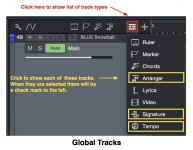SW-Show-Global-Tracks.jpg